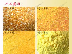 東北地區 麻豆成人免费视频深加工設備